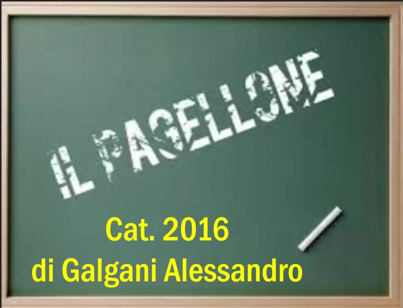 2016 - Il PAGELLONE - CAT. 2016  a Cura di Alessandro Galgani